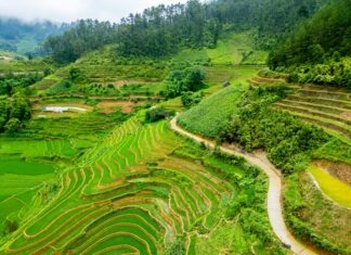 Olumsuz Yorumlar Karşısında Savunmacı Olmak Doğru Mu? Merak Edilenler