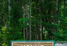 Kötü Yorumlara Açıklayıcı Cevaplar SEO’ya Nasıl Büyük Katkı Sağlar?