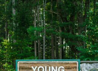 Aynı Yoruma Tekrar Yanıt Verilebilir Mi? Merak Edilenler Açıklandı!