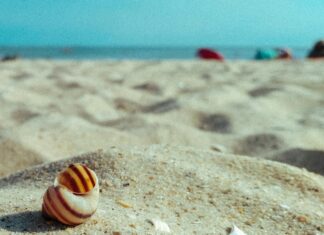 Google Yorumları Manuel Mi Yoksa Algoritmayla Mı Kaldırılır?