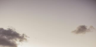 Kötü Niyetli Yorumlara Karşı İşletme İtibarını Koruma Yolları Nelerdir?