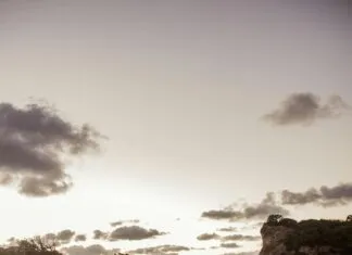 Kötü Niyetli Yorumlara Karşı İşletme İtibarını Koruma Yolları Nelerdir?