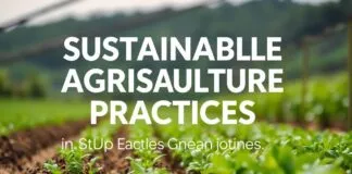 Sürdürülebilir Tarım Pratikleri: Çiftçilerin İçin Rehber Sustainable Agriculture Practices: A Guide for Farmers