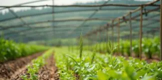 Sürdürülebilir Tarım ve Çiftçilik: Geleceğe Yönelik Çözümler Sustainable Agriculture and Farming: Solutions for the Future