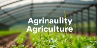 Tarımda Sürdürülebilirlik: Geleceğe Dönük Çözümler Sustainability in Agriculture: Forward-Looking Solutions