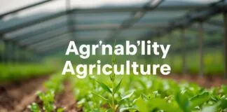 Tarımda Sürdürülebilirlik: Geleceği Şekillendiren Pratikler Sustainability in Agriculture: Practices Shaping the Future