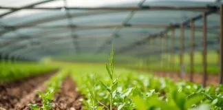 Tarımda Sürdürülebilirlik: Geleceğin Çiftçilerine Yönelik Yönler Sustainability in Agriculture: Directions for Future Farmers