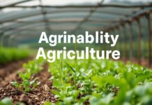 Tarımda Sürdürülebilirlik: Çiftçilerin İçin Rehber Sustainability in Agriculture: A Guide for Farmers
