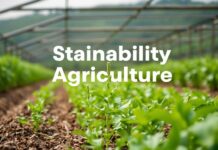 Tarımda Sürdürülebilirlik: Çiftçilerin İçin Yönelimler Sustainability in Agriculture: Guidelines for Farmers