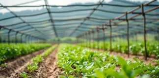 Tarımda Sürdürülebilirlik: Çiftçilik Yöntemleri ve Yaratıcı Çözümler Sustainability in Agriculture: Farming Methods and Innovative Solutions