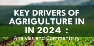 2024 Tarımın Ana Etkenleri: Analiz ve Yorum Key Drivers of Agriculture in 2024: Analysis and Commentary