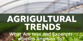 2024 Tarım Trendleri: Çiftçiler ve Uzmanlar Nelere Dikkat Ediyor? 2024 Agricultural Trends: What Are Farmers and Experts Paying Attention To?