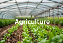 Çiftçilik Dünyasının Yeni Yüzü: Ön İzleme ile Tarımın Geleceği The New Face of Agriculture: The Future of Farming with Preview
