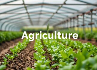 Çiftçilik Dünyasının Yeni Yüzü: Ön İzleme ile Tarımın Geleceği The New Face of Agriculture: The Future of Farming with Preview