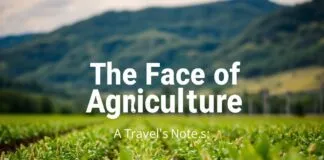 Tarımın Yüzü: Bir Gezginin Notları The Face of Agriculture: A Traveler's Notes