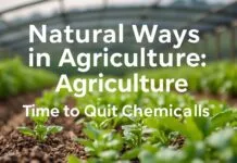 Tarımda Doğal Yollar: Kimyasallardan Vazgeçme Zamanı Natural Ways in Agriculture: Time to Quit Chemicals