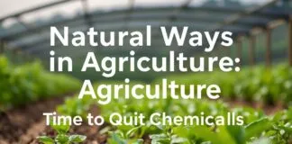 Tarımda Doğal Yollar: Kimyasallardan Vazgeçme Zamanı Natural Ways in Agriculture: Time to Quit Chemicals