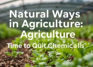 Tarımda Doğal Yollar: Kimyasallardan Vazgeçme Zamanı Natural Ways in Agriculture: Time to Quit Chemicals