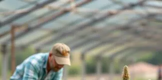 Tarım Verimliliği İçin Yeni Bir Teknoloji Dönemi başlıyor mu? Tarım Verimliliği İçin Yeni Bir Teknoloji Dönemi başlıyor mu?